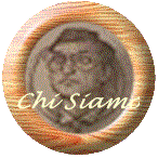 Presentazione della societ�